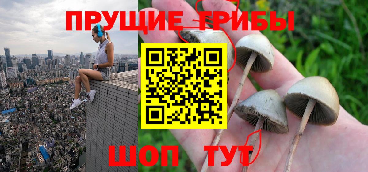 Псилоцибиновые грибы Psilocybine cubensis  Вход с VPN  Острогожск 