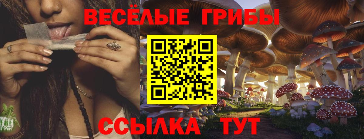 Острогожск  ЭКСТАЗИ  COCAIN  КОКАИН  Где продают наркотики?  Вход с VPN  ГАШИШ  Альфа ПВП СК кристаллы  МЕФ кристаллы  АМФ  